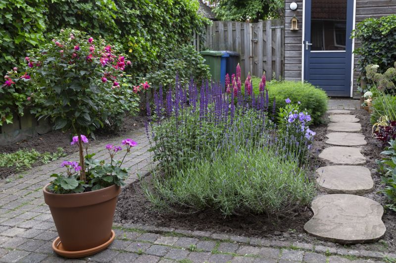 Small Backyard Landscaping