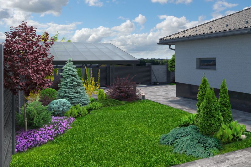 Modern Small Yard